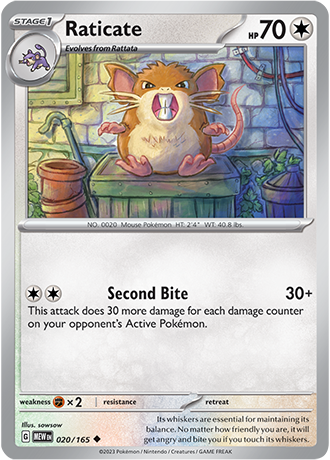 020/165 Raticate - Pokémon 151 - Pokémon card (English)