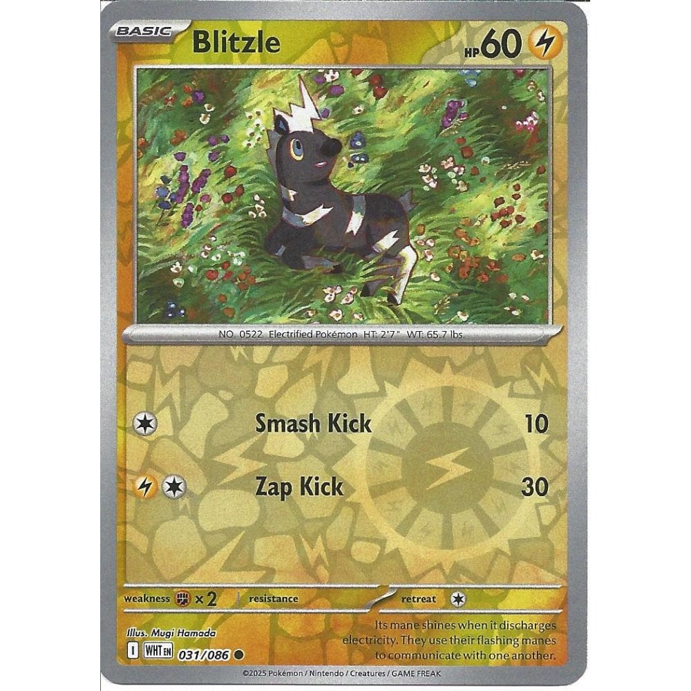 031/086 Blitzle (Reverse Holo) (White Flare) Pokemon card (English)