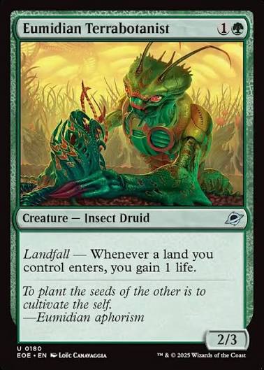 Magic the gathering (Forest) Eumidian Terrabotanist #0180 - Edge of Eternities - MTG Card (English) Uncommon