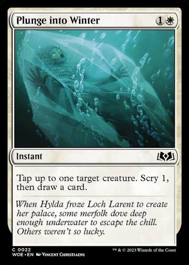 Magic the gathering (Plains) Plunge into Winter #0022 - Wilds of Eldraine - MTG Card (English) Common
