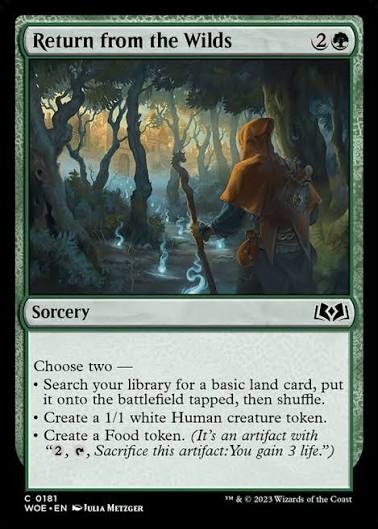 Magic the gathering (Forest) Return from the Wilds #0181 - Wilds of Eldraine - MTG Card (English) Common