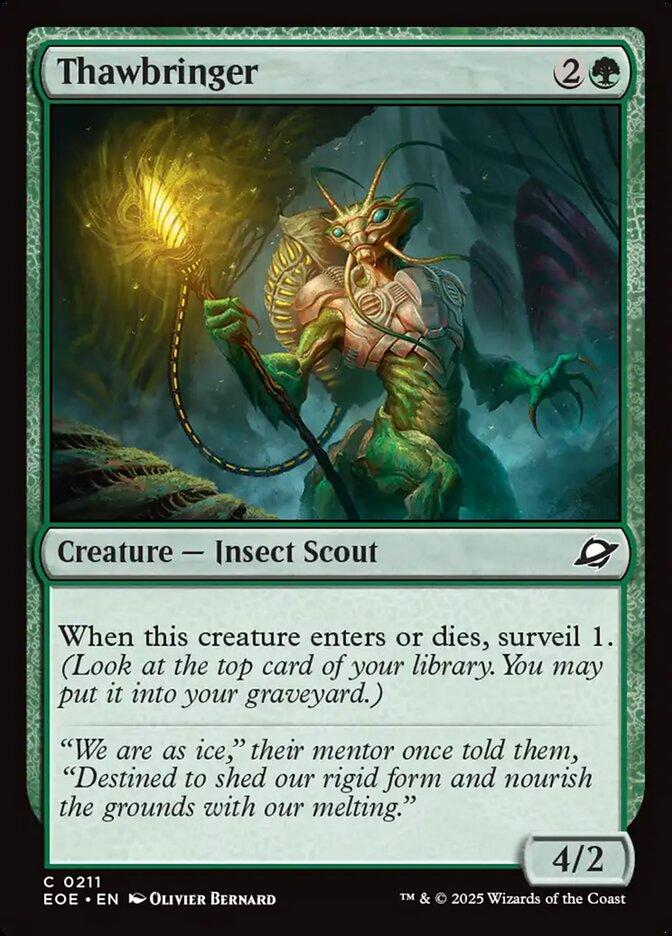 Magic the gathering (Forest) Thawbringer #0211 - Edge of Eternities - MTG Card (English) Common