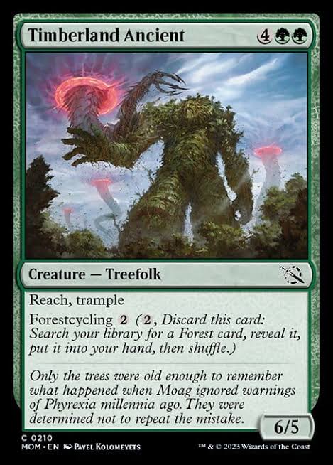 Magic the gathering (Forest) Timberland Ancient #0210 - March of the Machine - MTG Card (English) Common